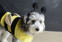 Spooky Halloween 2015: Memorable Costumes, Parties & Pics