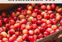 Cherry Guide: Varieties, Growing Tips, and Harvesting Advice
