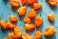 Freeze Habanero Peppers: Simple Steps to Preserve Heat and Flavor