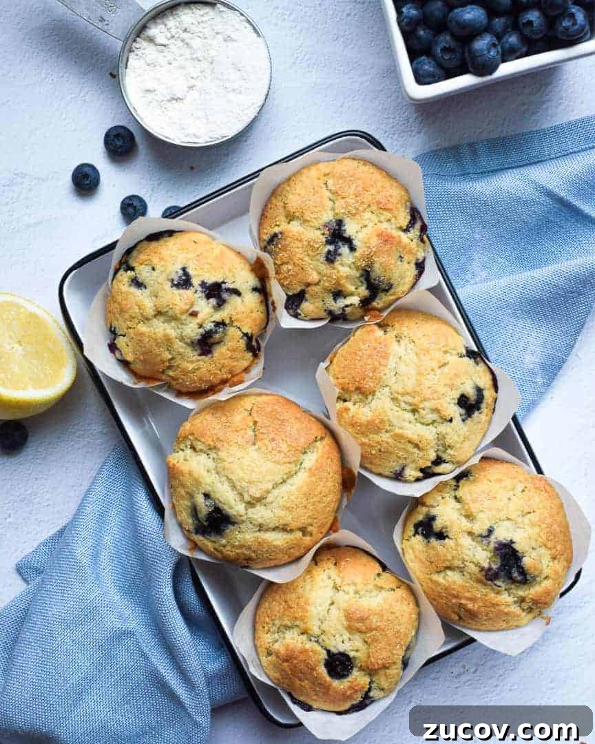 Bakery-Style Blueberry Lemon Muffins Recipe for Moist, Zesty Muffins 14 img 1034 13