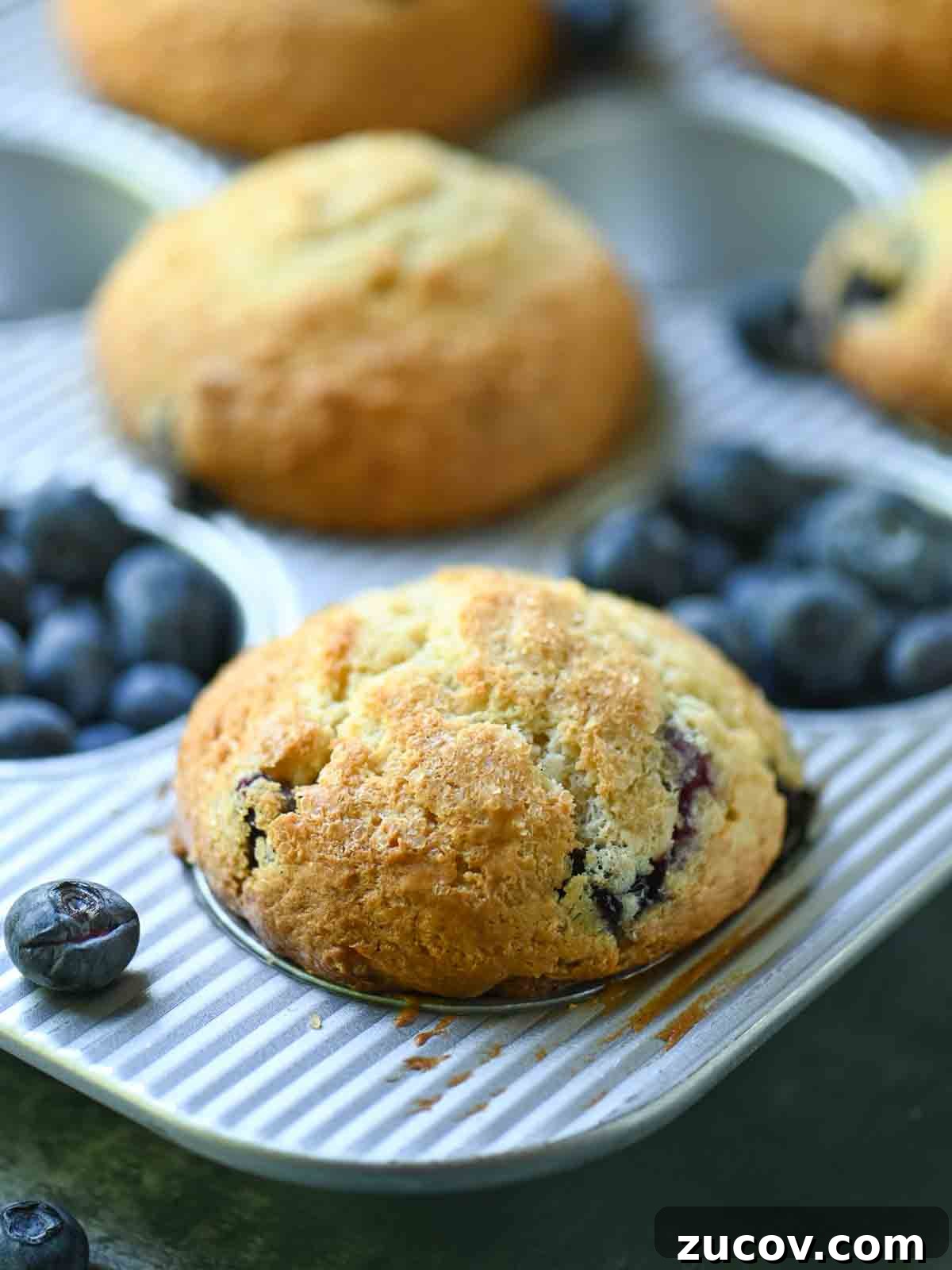 Bakery-Style Blueberry Lemon Muffins Recipe for Moist, Zesty Muffins 8 Blueberry muffins in a muffin tin shown close up.