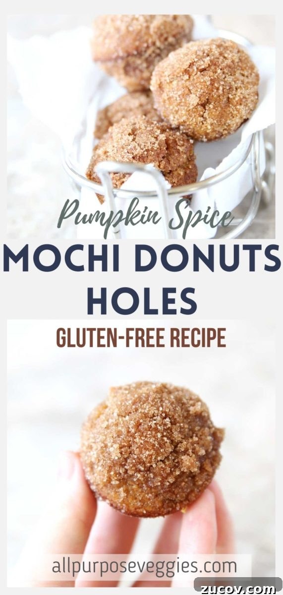 Almond Flour Pumpkin Mochi Donut Holes (Baked Recipe) 12 Fresh mini pumpkin mochi donuts
