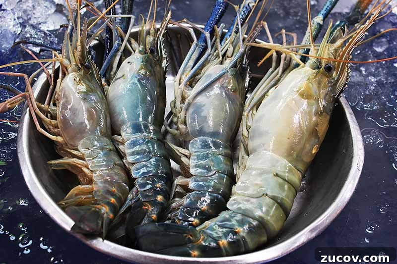 Prawns vs Shrimp: Key Differences, Uses, and How to Tell Them Apart 3 Horizontal image of a bowl of giant freshwater crustaceans.