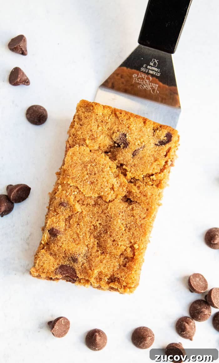 Keto Peanut Butter Chocolate Chip Cookie Recipe 14 overhead view of keto pumpkin chocolate chip cookie on spatula