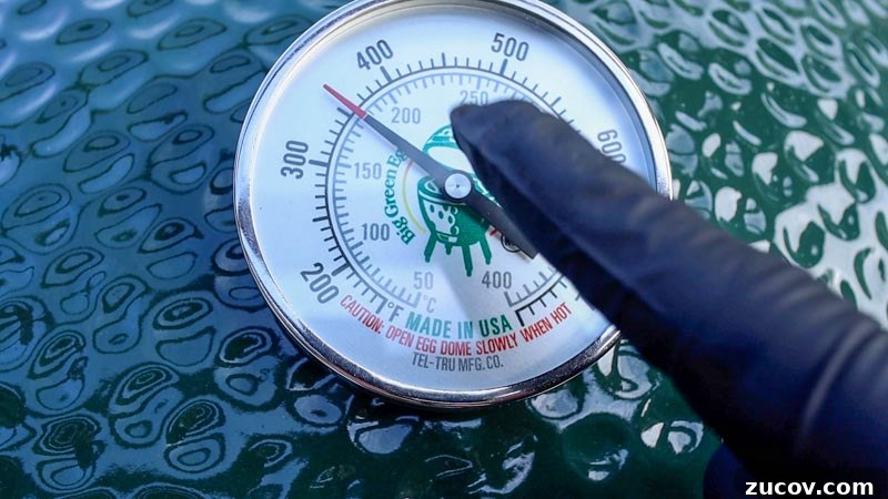 Hot-and-Fast Pulled Pork Recipe for the Big Green Egg 6 img 1070 6