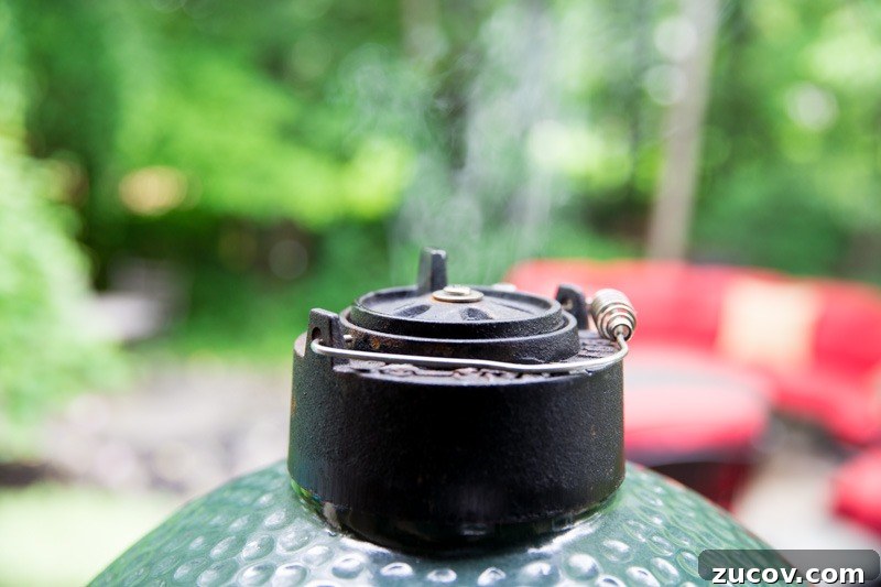 Hot-and-Fast Pulled Pork Recipe for the Big Green Egg 7 img 1070 7