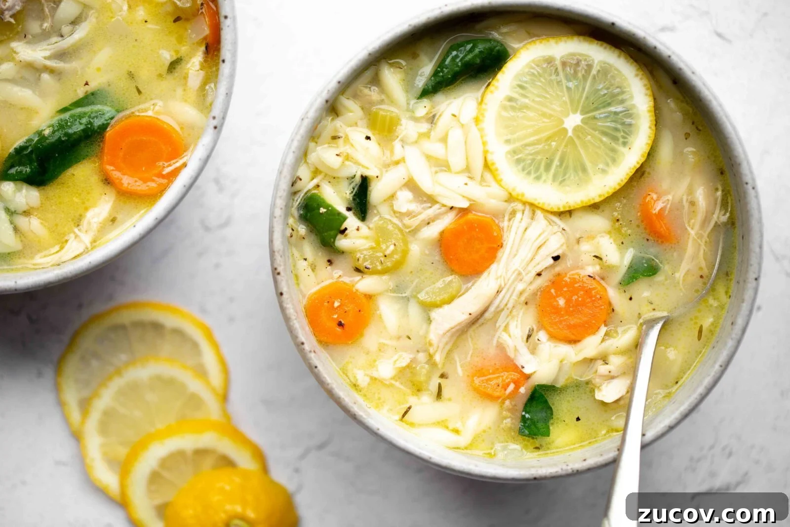 Instant Pot Lemon Chicken Soup Recipe for Quick Comfort 3 img 11293 2
