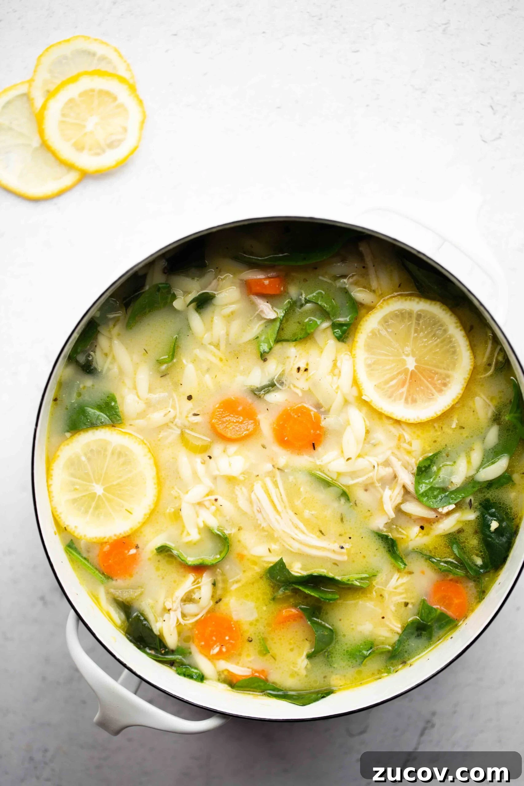 Instant Pot Lemon Chicken Soup Recipe for Quick Comfort 4 beautiful overhead photo of a pot of instant pot lemon chicken soup with orzo on a light background