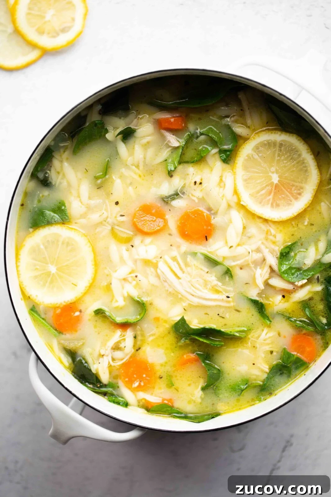 Instant Pot Lemon Chicken Soup Recipe for Quick Comfort 5 overhead photo of a pot of instant pot lemon chicken soup with orzo on a light background