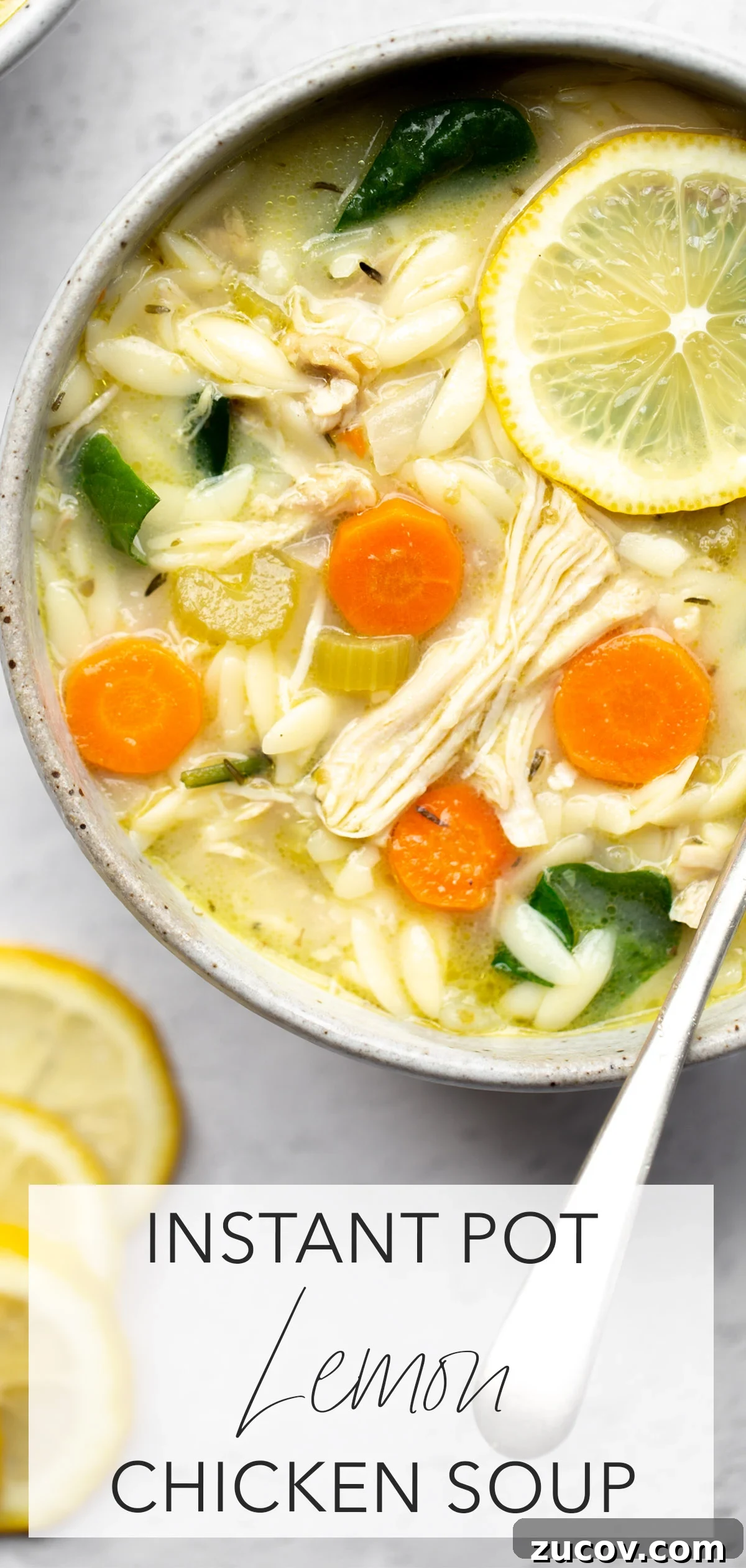 Instant Pot Lemon Chicken Soup Recipe for Quick Comfort 6 beautiful overhead photo of a bowl of instant pot lemon chicken soup with orzo on a light background with title text overlay