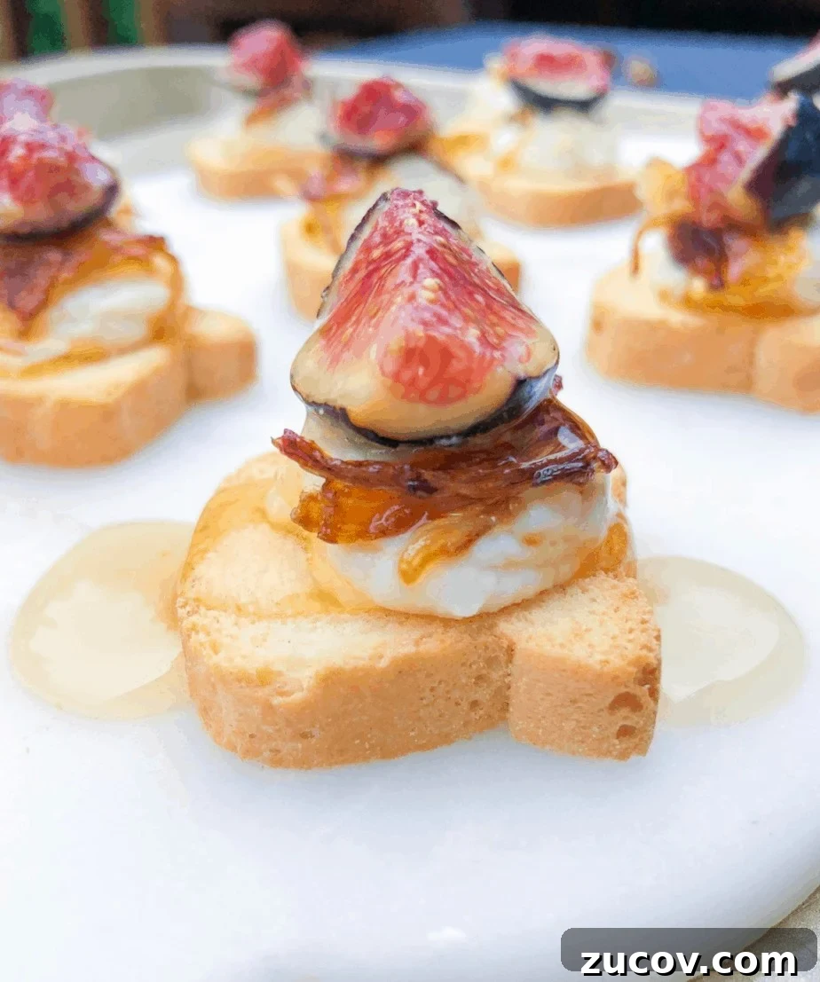 Mini Canapé Toasts for Parties: Bite-Sized Appetizer Ideas 2 Mini canape toasts with goat cheese and figs.