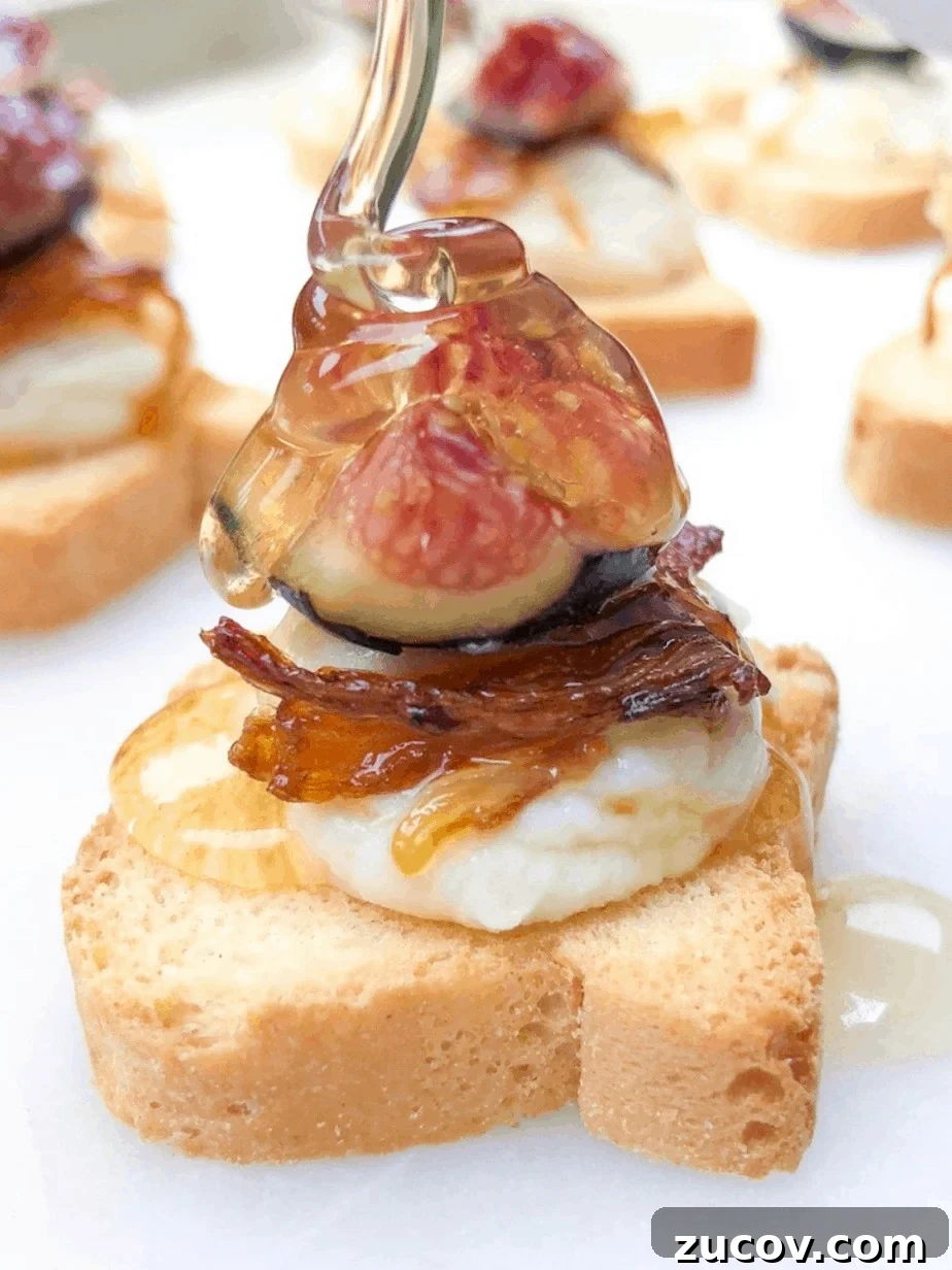 Mini Canapé Toasts for Parties: Bite-Sized Appetizer Ideas 5 Canape appetizer recipes with fig and goat cheese.