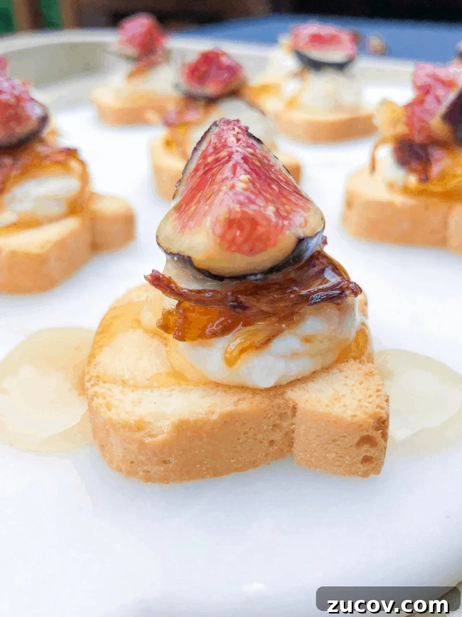 Mini Canapé Toasts for Parties: Bite-Sized Appetizer Ideas 9 Mini Canapé Toasts With Sweet Cheese.