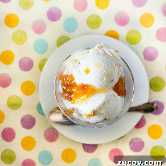 Sour Cream Peach Pie Ice Cream Recipe: Creamy Summer Dessert 3 Overhead shot of a bowl of sour cream ice cream with peaches.