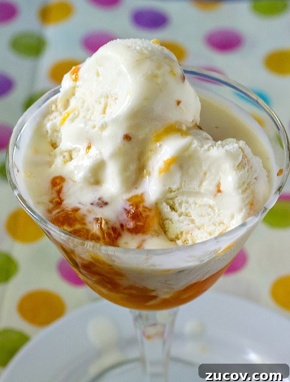 Sour Cream Peach Pie Ice Cream Recipe: Creamy Summer Dessert 5 A close up a dish of ice cream with peaches.
