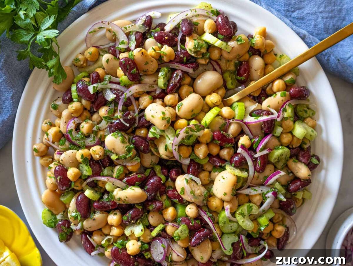 25 Affordable Recipes That Taste Gourmet on a Budget 4 Step 3 Finished 3 bean salad recipe chilling in bowl ready to serve with parsley.