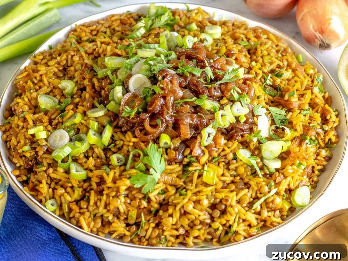 25 Affordable Recipes That Taste Gourmet on a Budget 5 Middle Eastern mujadara.