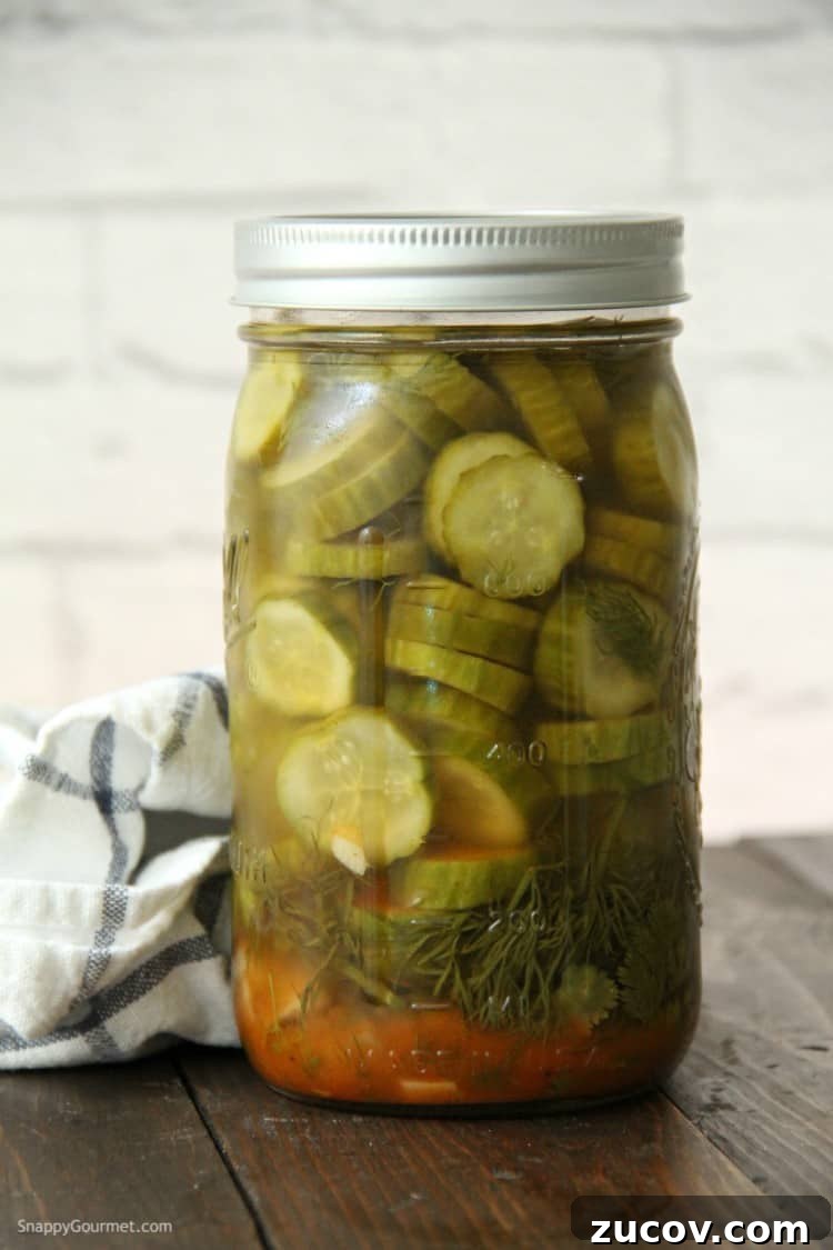 Mexican Refrigerator Pickles - easy refrigerator pickles with Mexican seasoning Mexican Refrigerator Pickles in jar before refrigerating