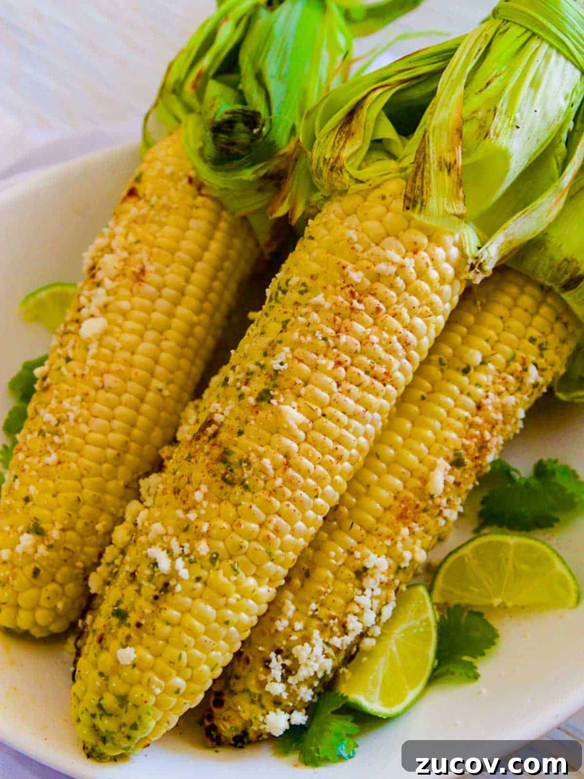 Authentic Mexican Street Corn (Elotes) — Classic Recipe Guide 2 img 133 1