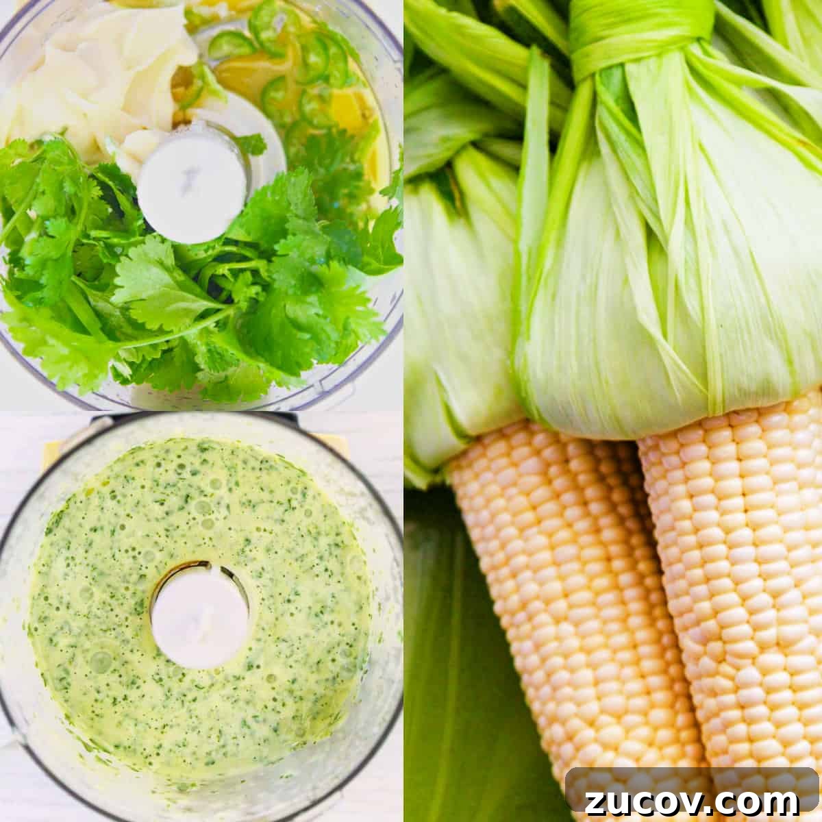 Authentic Mexican Street Corn (Elotes) — Classic Recipe Guide 4 img 133 3