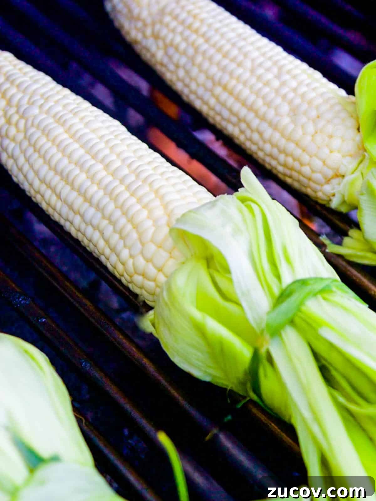 Authentic Mexican Street Corn (Elotes) — Classic Recipe Guide 5 img 133 4