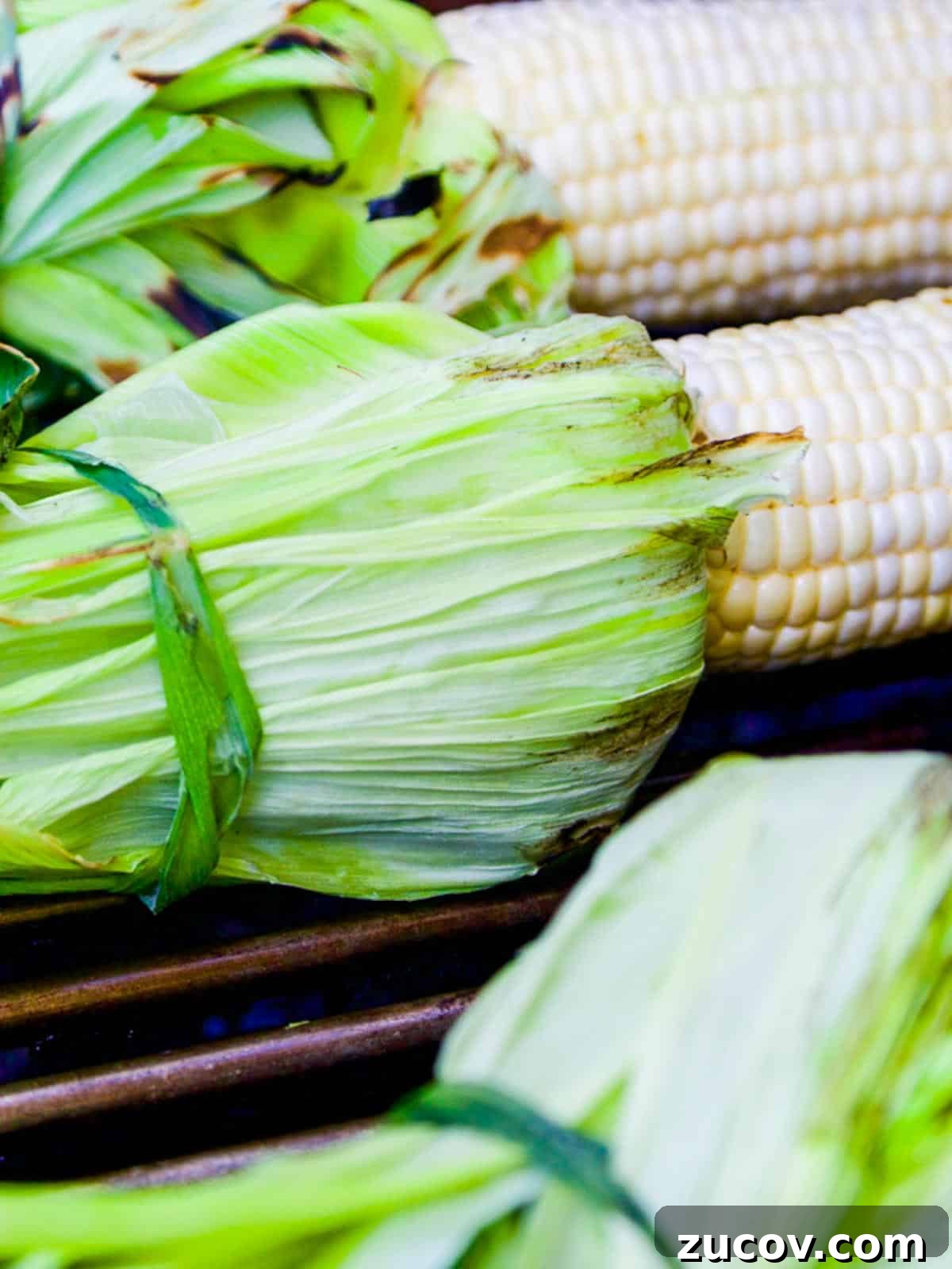 Authentic Mexican Street Corn (Elotes) — Classic Recipe Guide 6 img 133 5