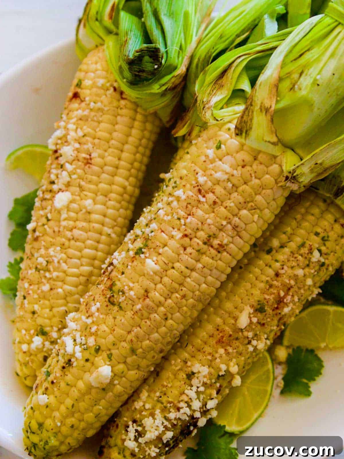 Authentic Mexican Street Corn (Elotes) — Classic Recipe Guide 7 img 133 6