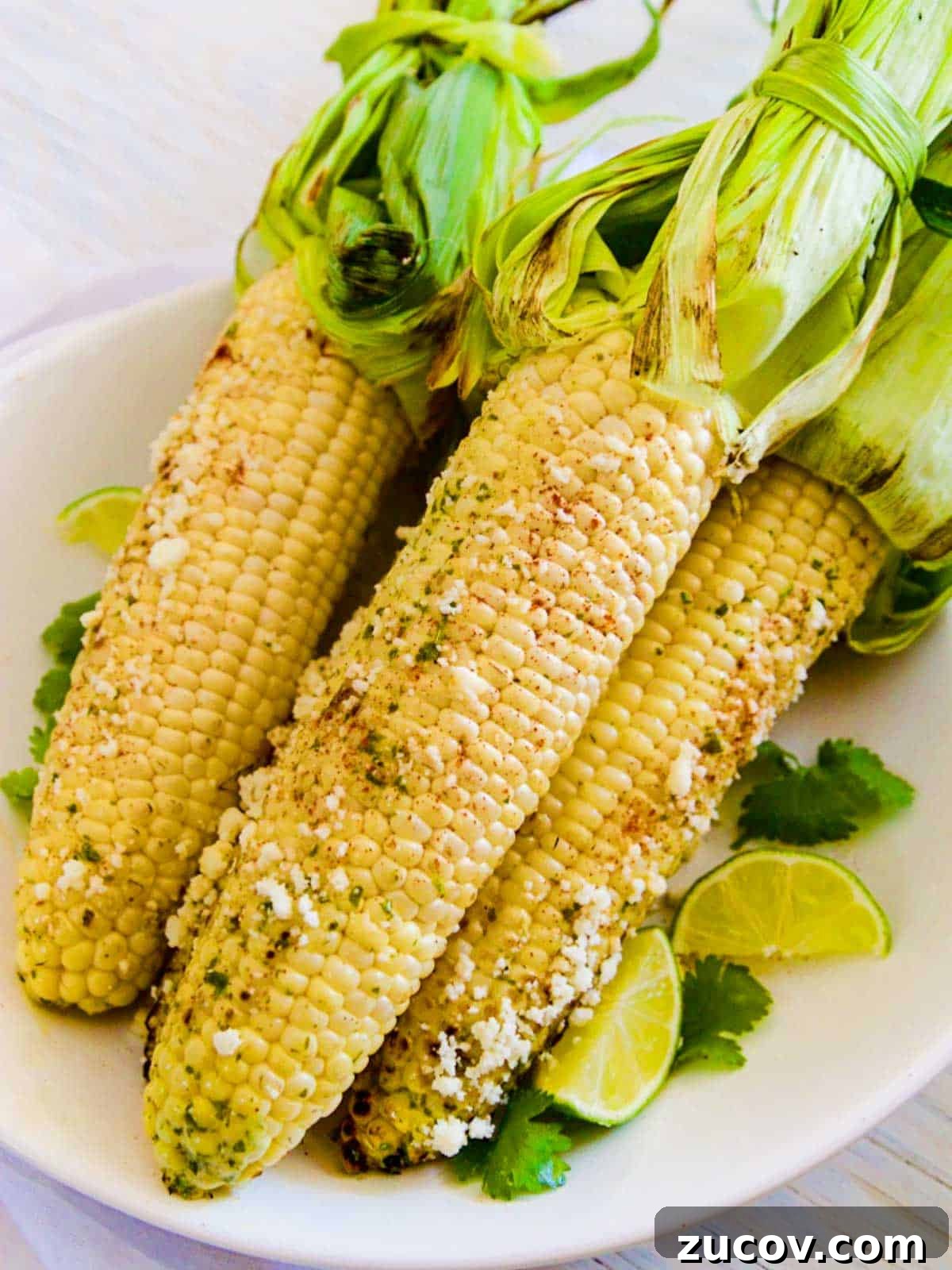 Authentic Mexican Street Corn (Elotes) — Classic Recipe Guide 8 img 133 7