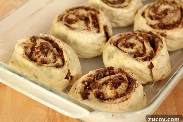 Date and Nut Cinnamon Rolls Date and Nut Cinnamon Rolls