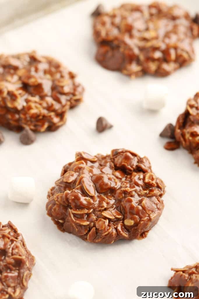 No-Bake Chocolate Oatmeal Cookies: Quick Refrigerator Treats 2 chocolate no bake cookies on parchment paper, easy no bakes made without peanut butter.