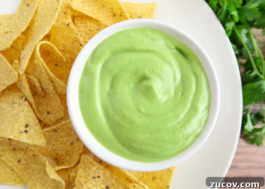 Creamy Avocado Yogurt Sauce with Greek Yogurt 9 img 151 10