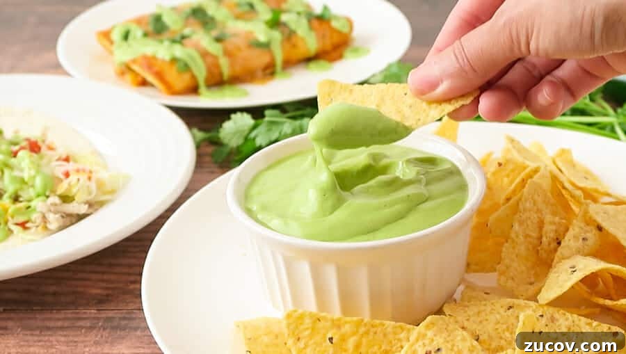 Creamy Avocado Yogurt Sauce with Greek Yogurt 12 cream avocado dip with chips