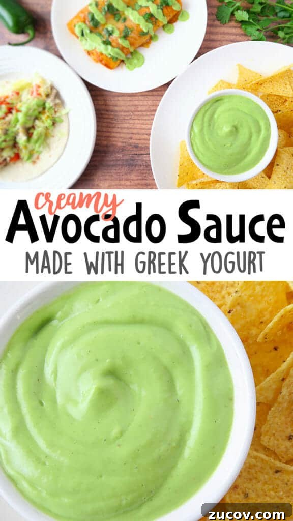 Creamy Avocado Yogurt Sauce with Greek Yogurt 15 Healthy Creamy Avocado Sauce (with Greek Yogurt)