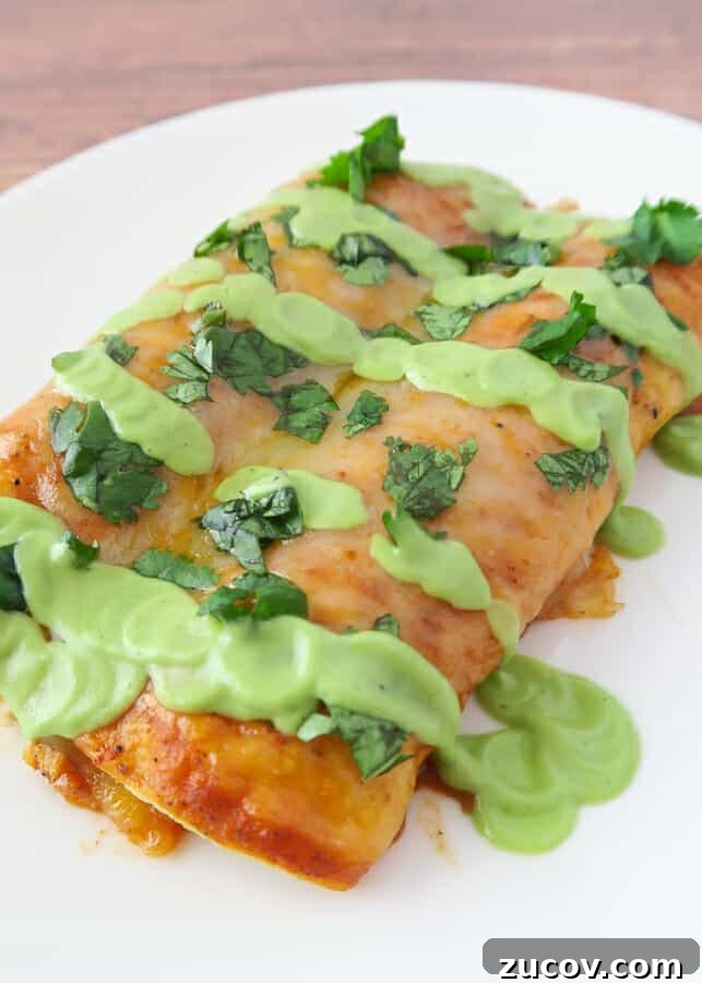 Creamy Avocado Yogurt Sauce with Greek Yogurt 4 Healthy Creamy Avocado Sauce (with Greek Yogurt) drizzled on a red chicken enchilada