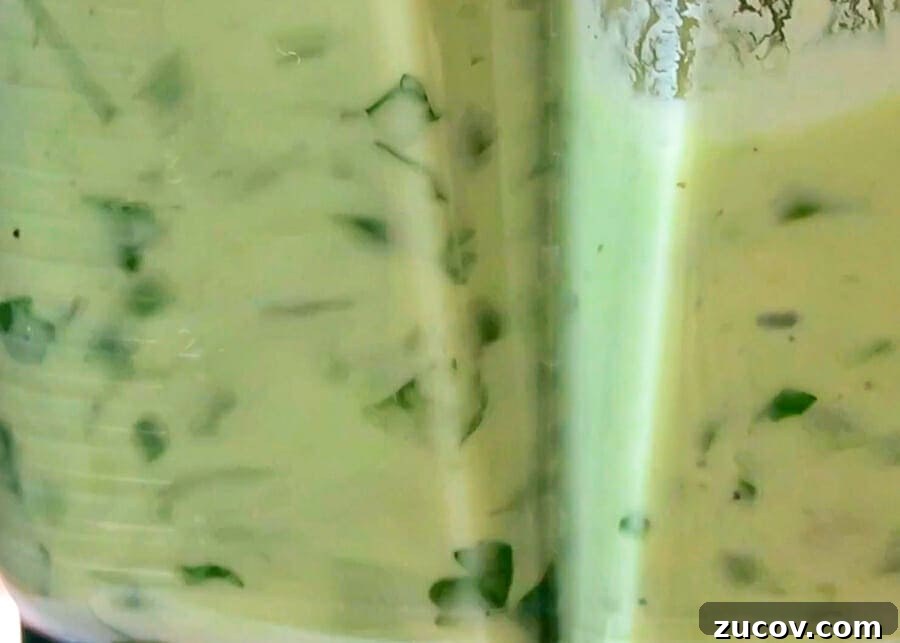 Creamy Avocado Yogurt Sauce with Greek Yogurt 6 ingredients for the creamy avocado sauce being blended in the vitamix