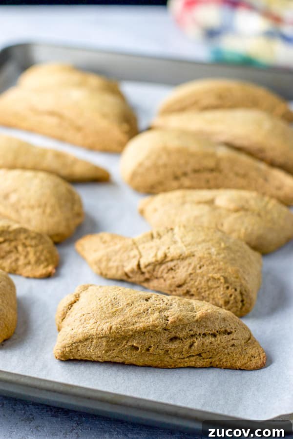 Pumpkin Glazed Scones with Maple Spice Frosting 7 Scones on a pan with parchment paper straight out of the oven