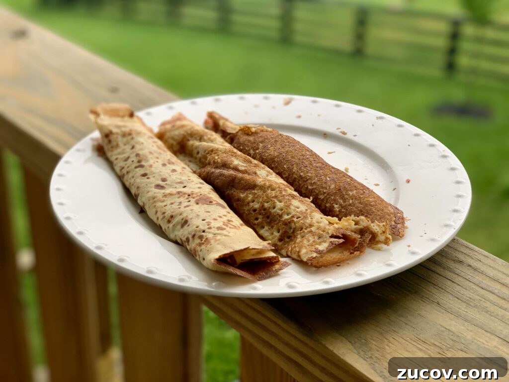 Blender Crepes: Quick, Smooth Batter for Perfect Crepes 2 Do you roll or fold your crepes?