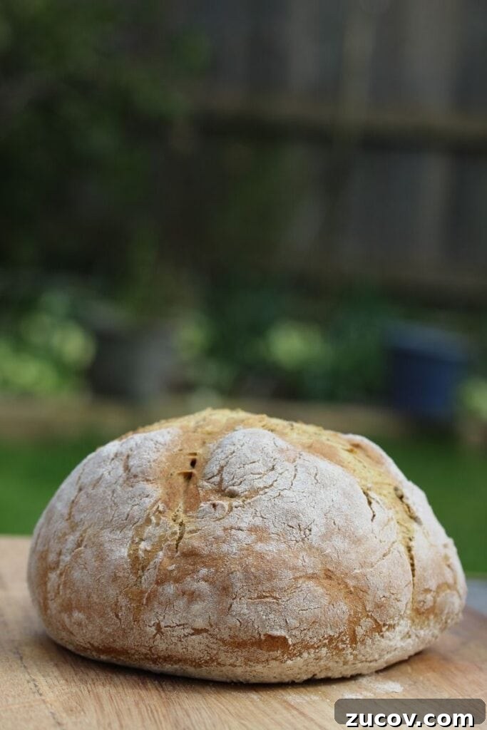 Gluten-Free, Yeast-Free Bread Recipe: Light & Homemade 3 Quick and easy gluten free bread made without yeast. #freefromfairy #easyglutenfreebread #yeastfreeglutenfreebread