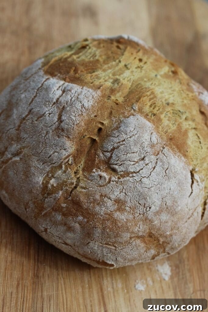 Gluten-Free, Yeast-Free Bread Recipe: Light & Homemade 5 Easy gluten free bread recipe with no yeast #freefromfairy #easyglutenfreebreadrecipe #glutenfreesodabread #yeastfreebread