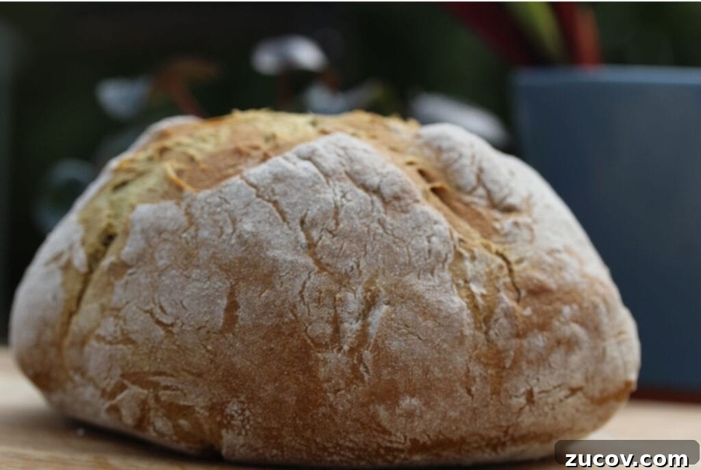 Gluten-Free, Yeast-Free Bread Recipe: Light & Homemade 6 Simple gluten free bread #noyeastbread #glutenfreebread #freefromfairy