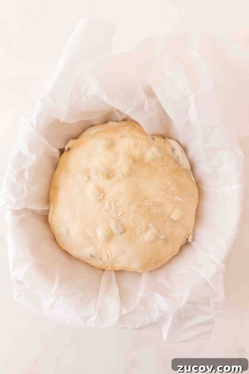 Sourdough Cinnamon Raisin Bread Recipe — Soft, Sweet & Spiced 13 Sourdough cinnamon raisin bread shaped into a boule for an overnight ferment in the refrigerator. Hostess At Heart