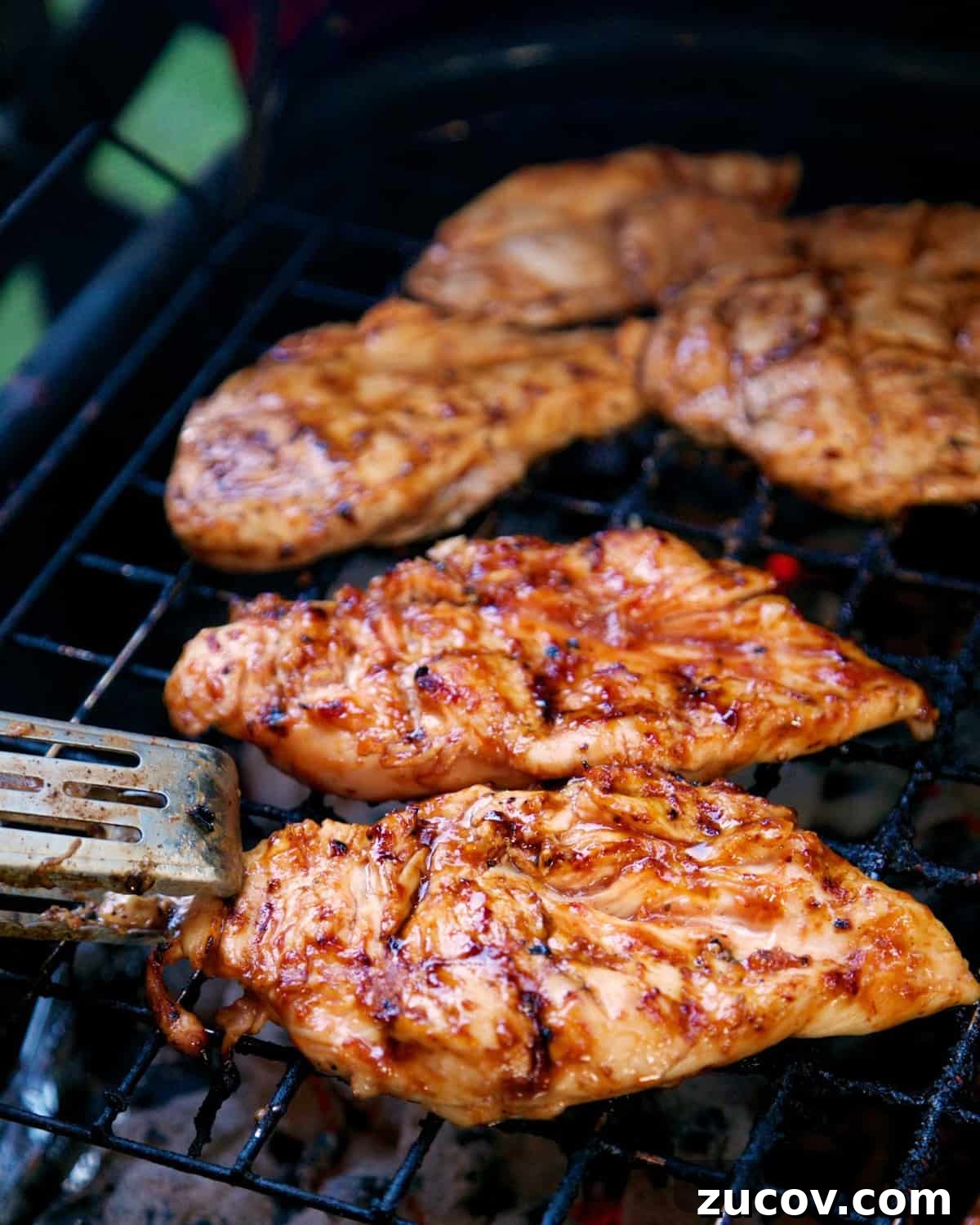 3-Ingredient Italian BBQ Chicken 3-Ingredient Italian BBQ Chicken