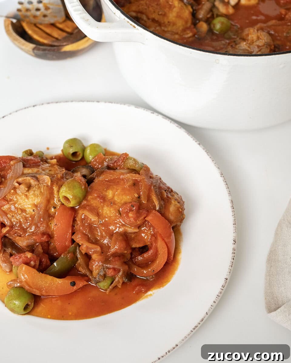Classic Chicken Cacciatore Recipe: Rustic Italian Chicken Stew 2 Finished chicken cacciatore on a plate and the remaining in a dutch oven.