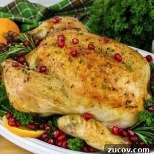 Succulent Roast Chicken Recipe for Christmas Dinner 9 Golden roasted chicken on a white platter with parsley and pomegranate seeds as garnish.