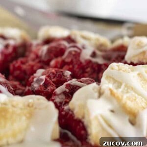 Fresh Raspberry Galette Recipe with Flaky Crust 9 A fresh raspberry galette, sliced and being served.