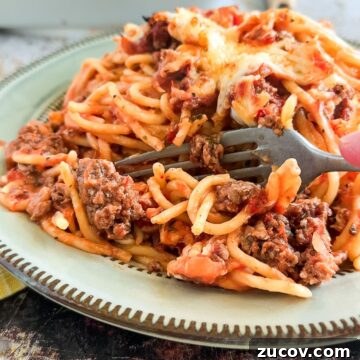 TikTok Spaghetti Recipe: Viral Creamy Pasta in 15 Minutes 9 Million Dollar Spaghetti.