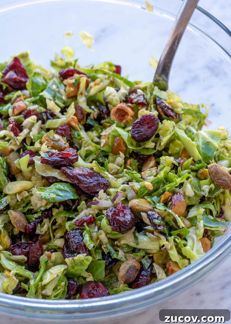 Crisp Shaved Brussels Sprouts Salad with Lemon Parmesan Dressing 6 This Shaved Brussels Sprouts Salad is the best no-cook, meal prep dish! This healthy, easy salad is perfect for lunch, potlucks, holiday parties, and more!
