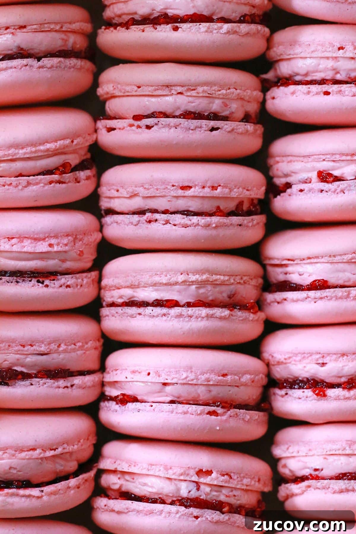 Raspberry Macarons Recipe: Light, Tangy French Cookies 2 a lot of homemade raspberry macarons with raspberry jam and French buttercream filling