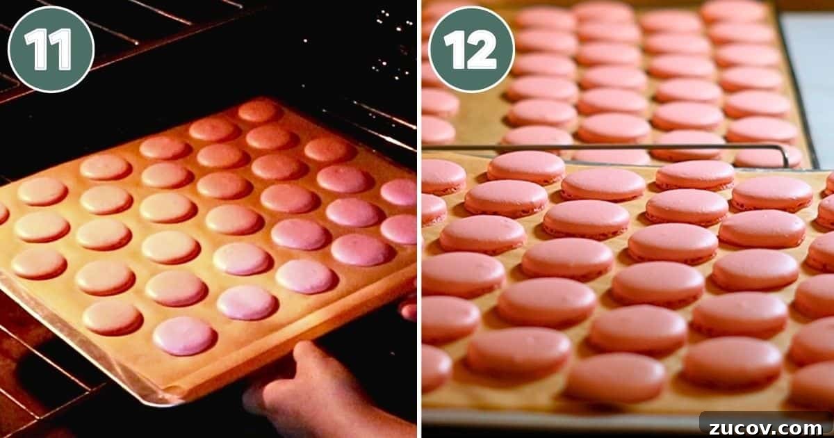 Raspberry Macarons Recipe: Light, Tangy French Cookies 13 baking the macaron shells and letting them cool on a wire rack