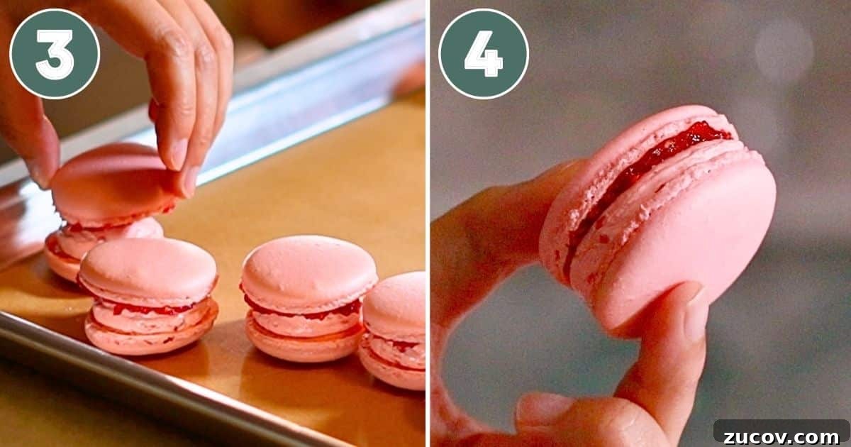 Raspberry Macarons Recipe: Light, Tangy French Cookies 15 spreading the raspberry jam on one of the macaron shells and sandwiching the fillings